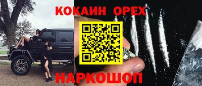 прущие грибы Донской