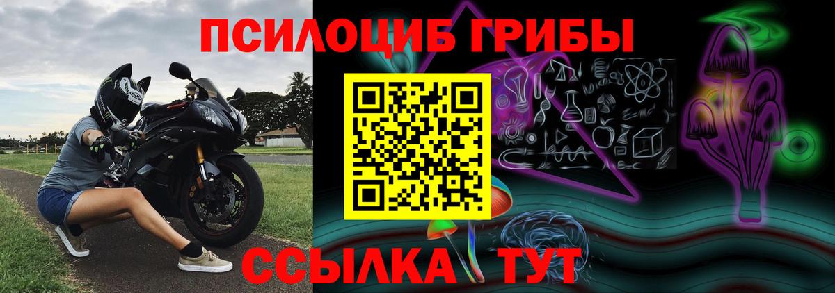 Псилоцибиновые грибы Cubensis  Вход с VPN  Курчатов 